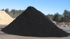 blackmulch_sm.jpg